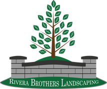 Picture or Rivera Bros. Logo - Tree and Retaining Wall